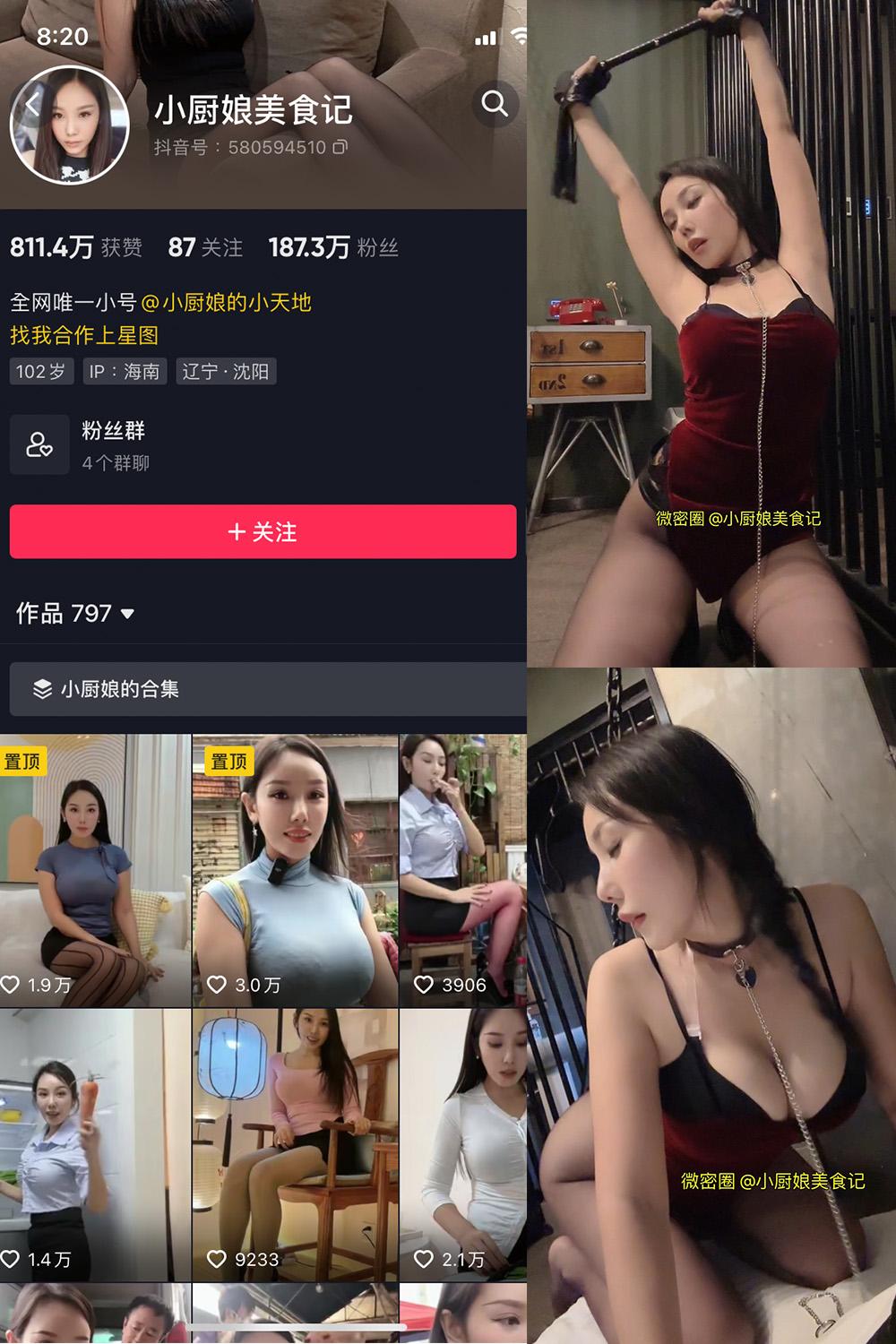 抖音 小厨娘美食记 微密圈  NO.011期 【10P】最新至：2023.6.11-杏子