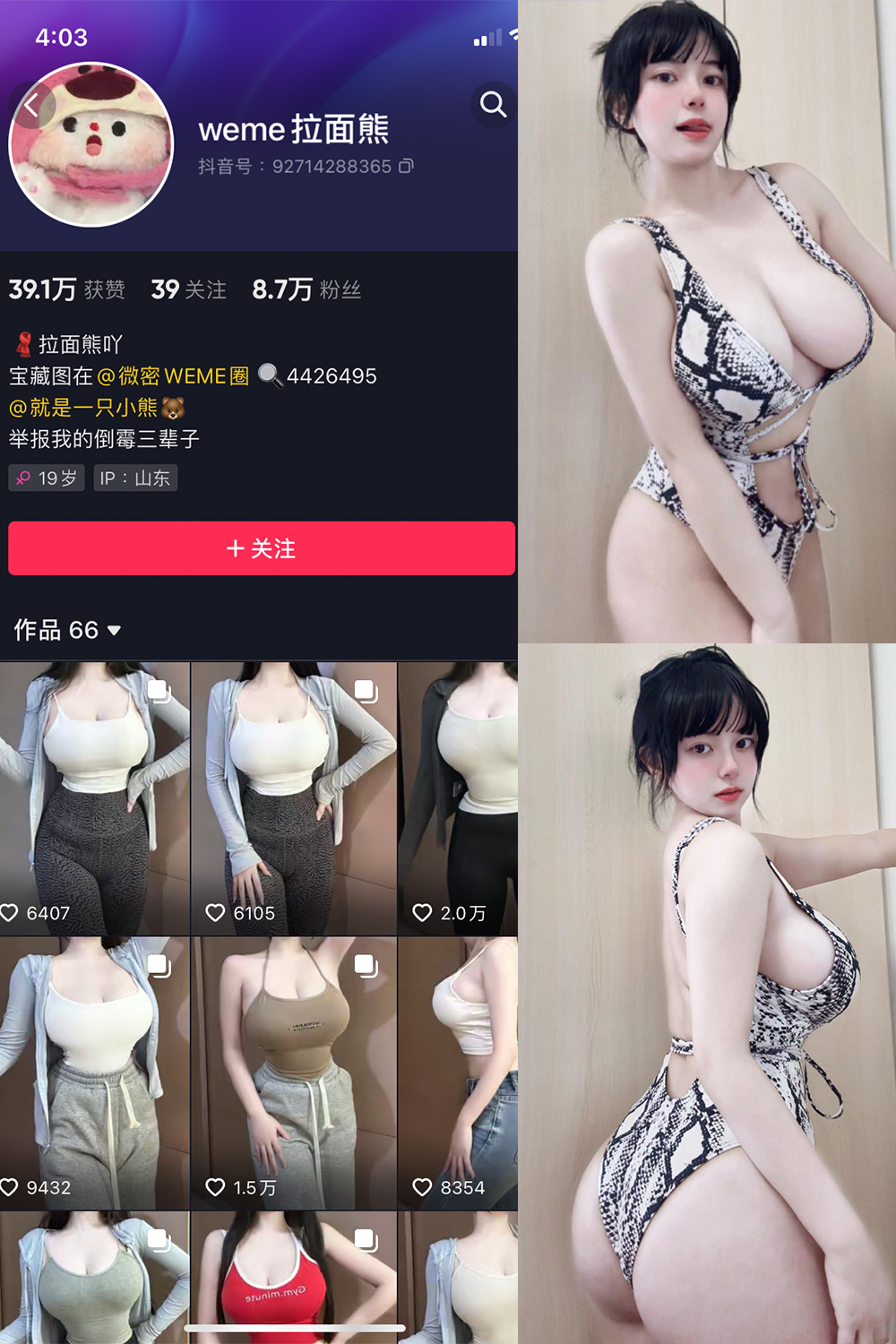 抖音 拉面熊 微密圈 视频 NO.011期 【11P2V】最新至：2024.4.26-杏子