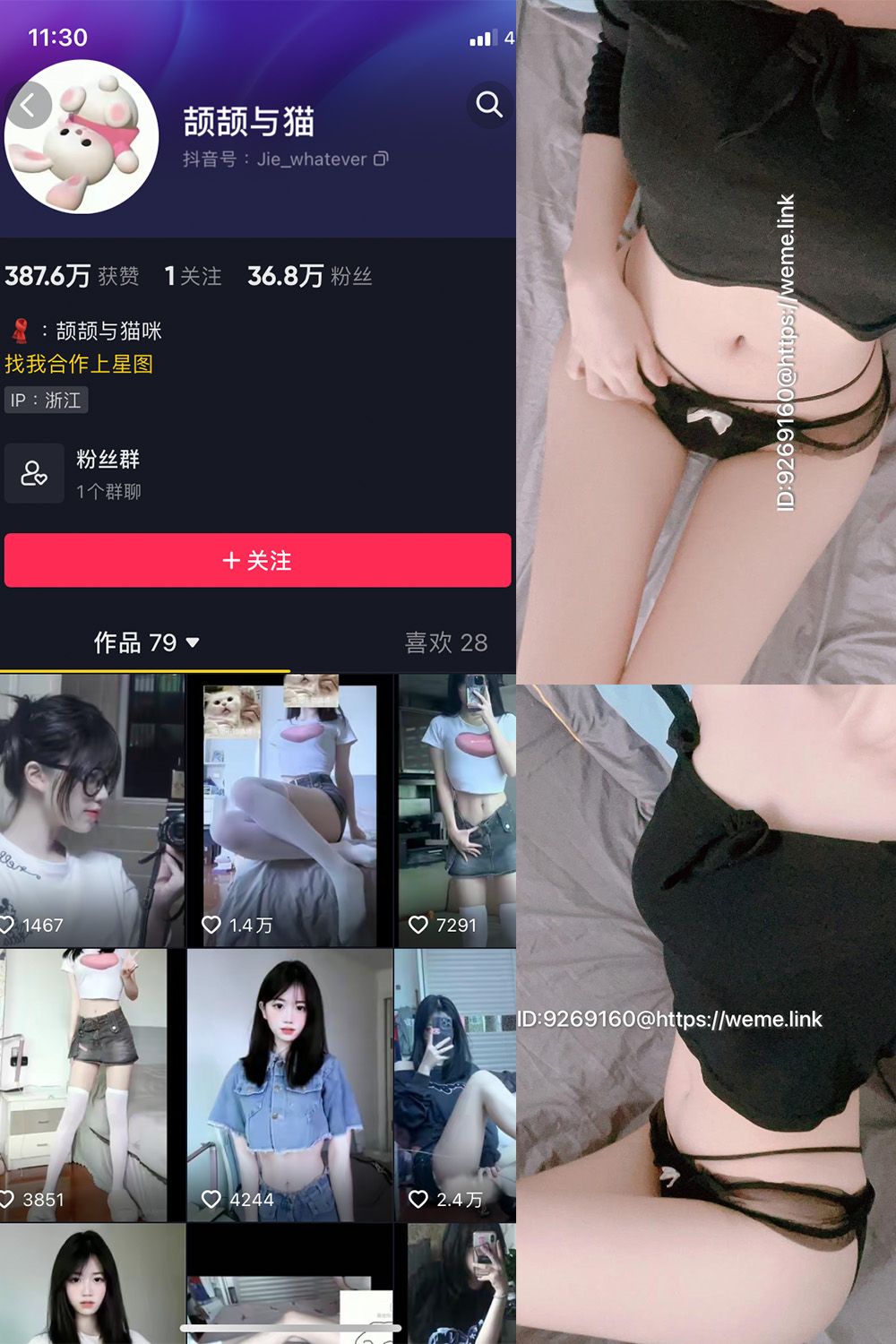 抖音 颉颉与猫 微密圈  NO.004期 【9P14V】最新至：2023.10.14-杏子