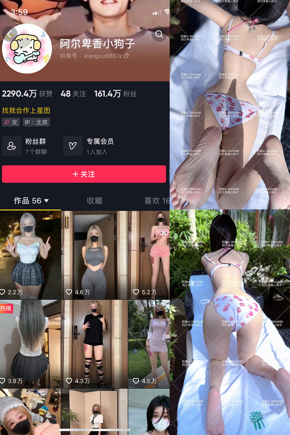 抖音 阿尔卑香小狗子 微密圈  NO.060期 【17P】最新至：2025.2.8-杏子