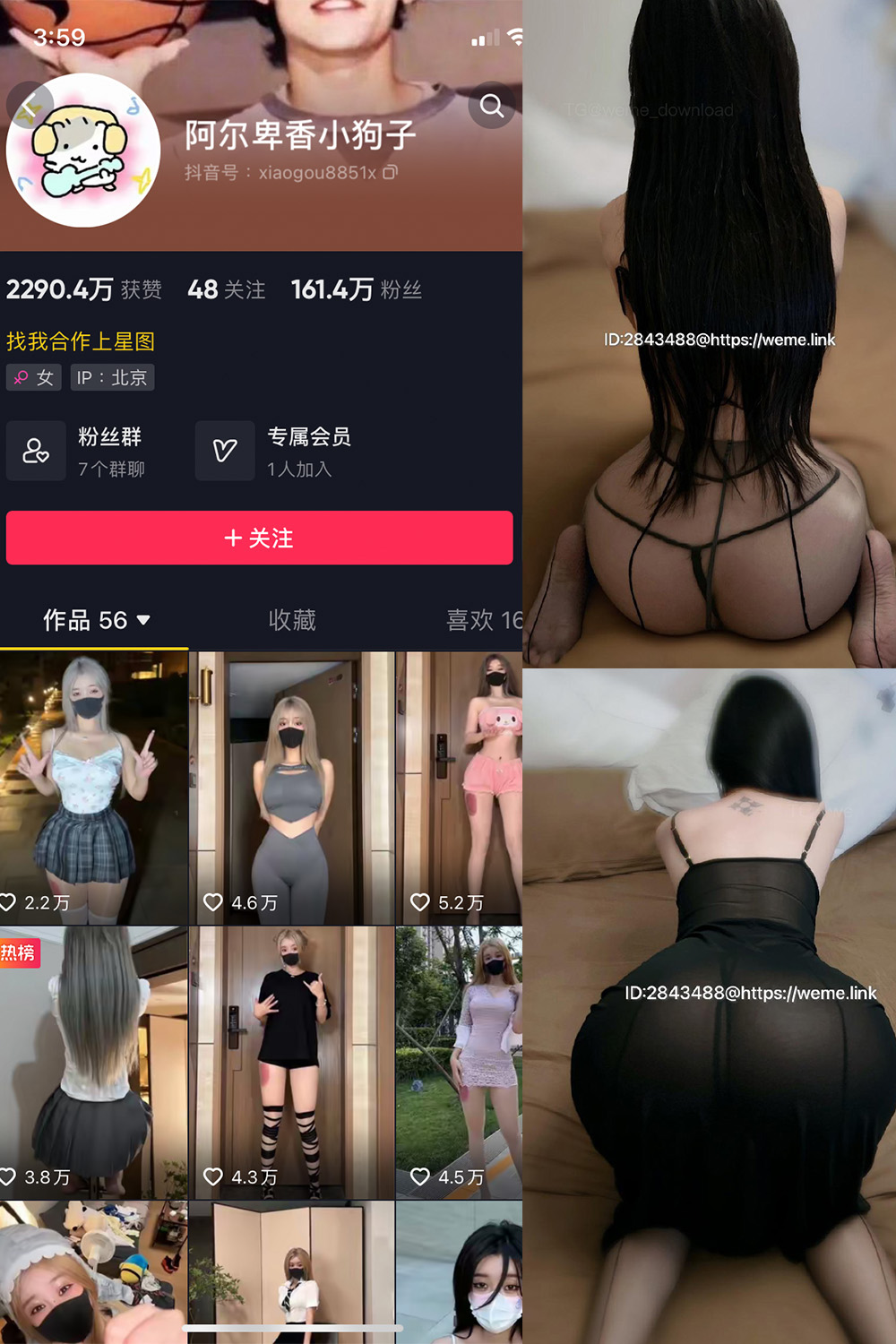 抖音 阿尔卑香小狗子 微密圈  NO.057期 【36P1V】最新至：2024.9.3-杏子