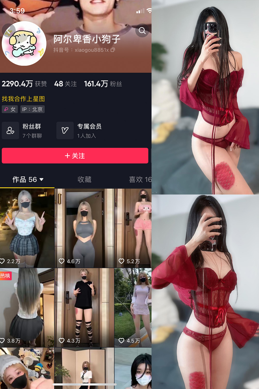 抖音 阿尔卑香小狗子 微密圈  NO.056期 【10P2V】最新至：2024.8.25-杏子