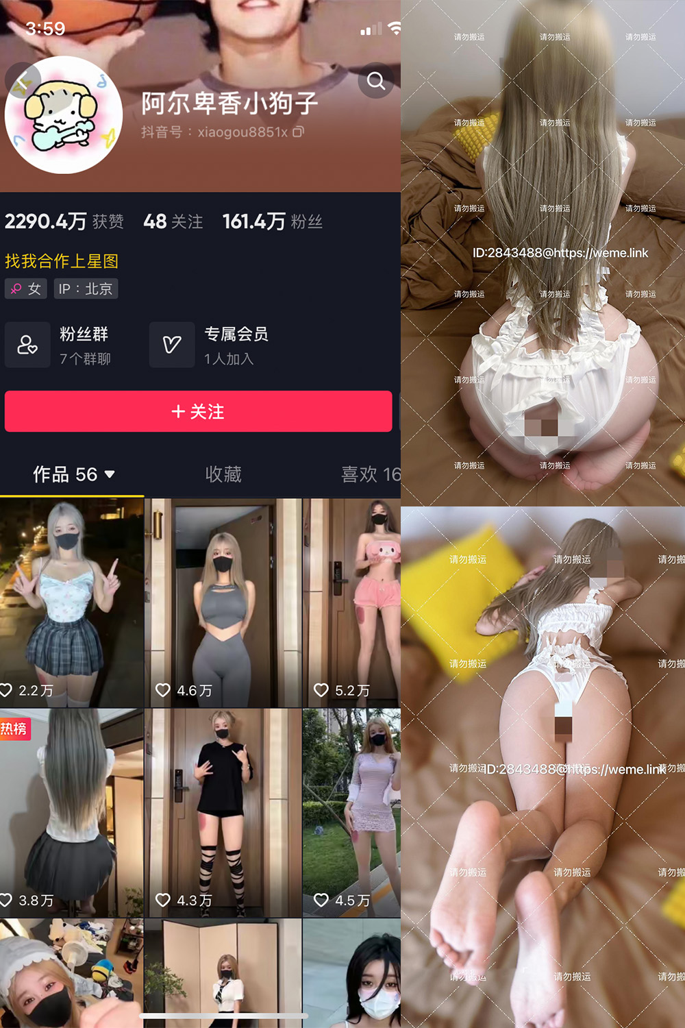 抖音 阿尔卑香小狗子 微密圈  NO.054期 【16P1V】最新至：2024.8.9-杏子