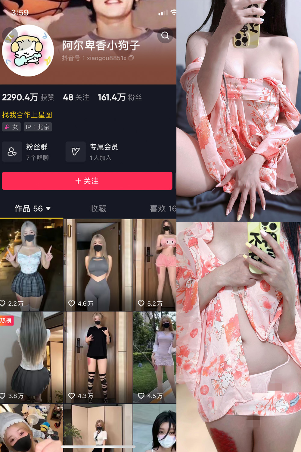 抖音 阿尔卑香小狗子 微密圈  NO.052期 【22P4V】最新至：2024.7.11-杏子