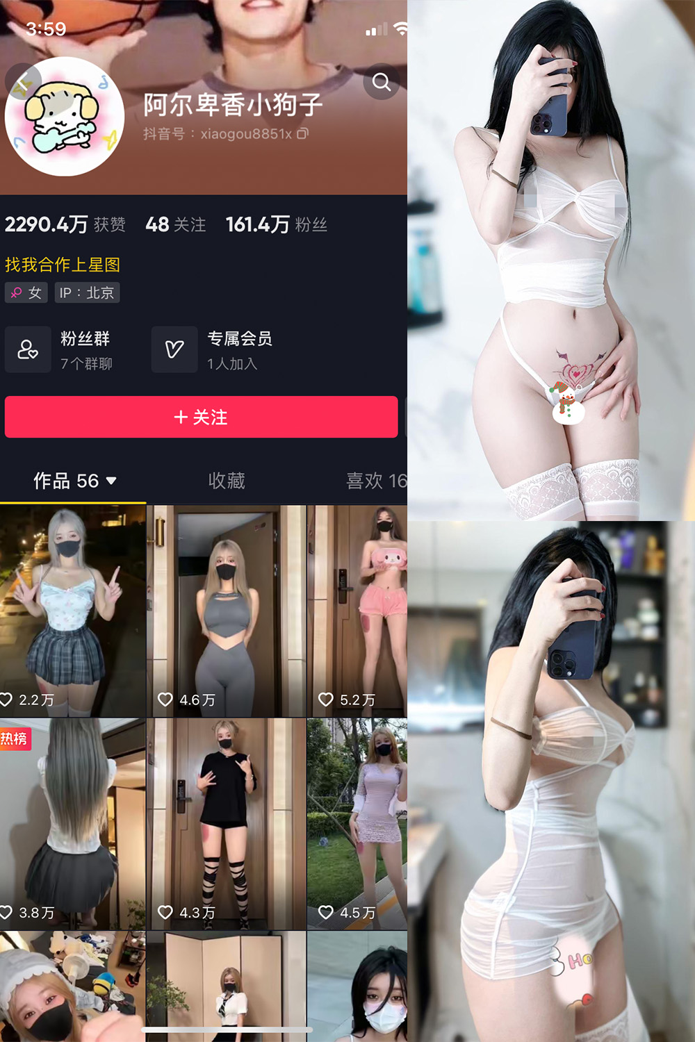 抖音 阿尔卑香小狗子 微密圈  NO.051期 【33P】最新至：2024.7.1-杏子