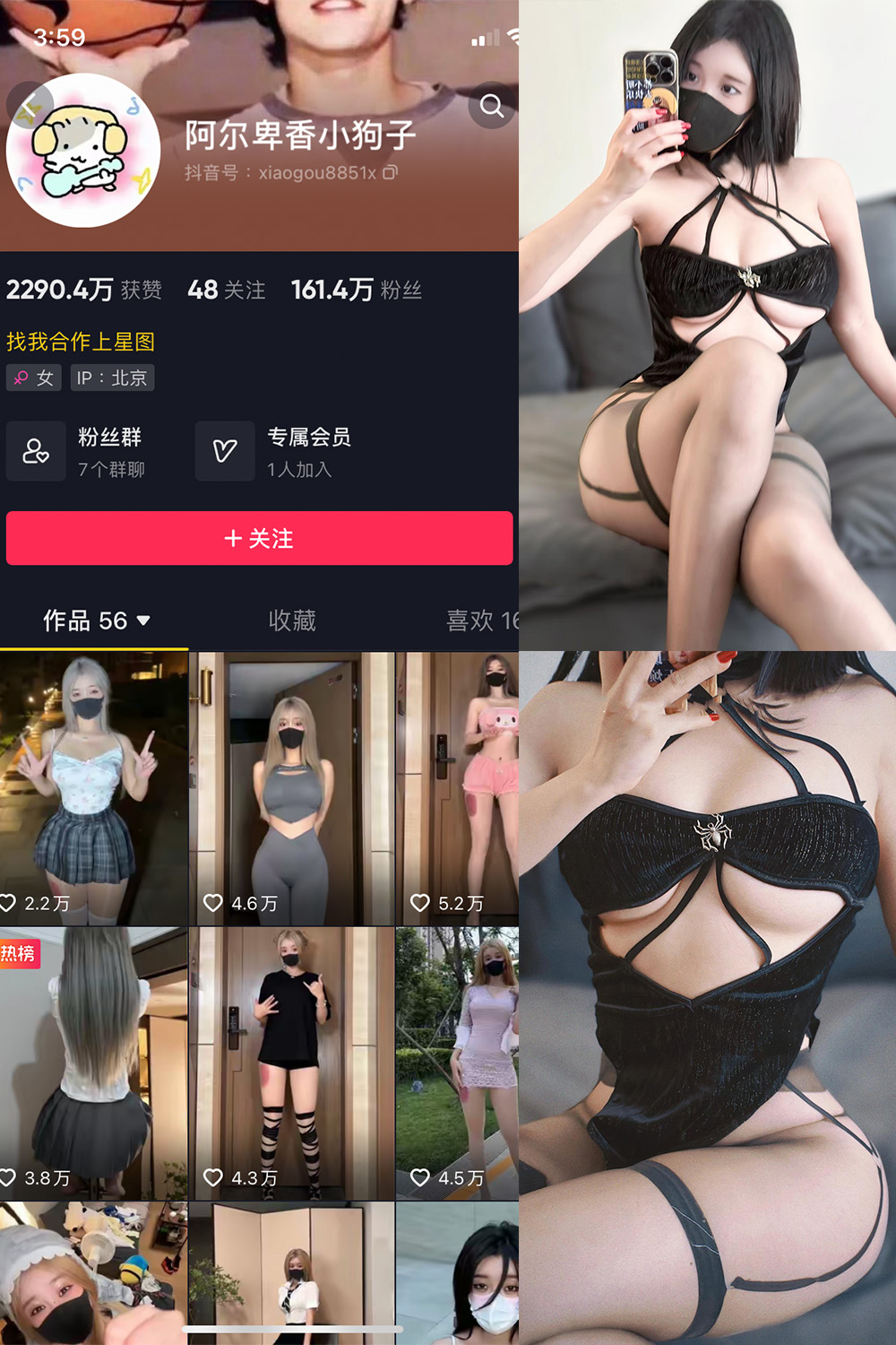 抖音 阿尔卑香小狗子 微密圈  NO.046期 【14P1V】最新至：2024.6.9-杏子