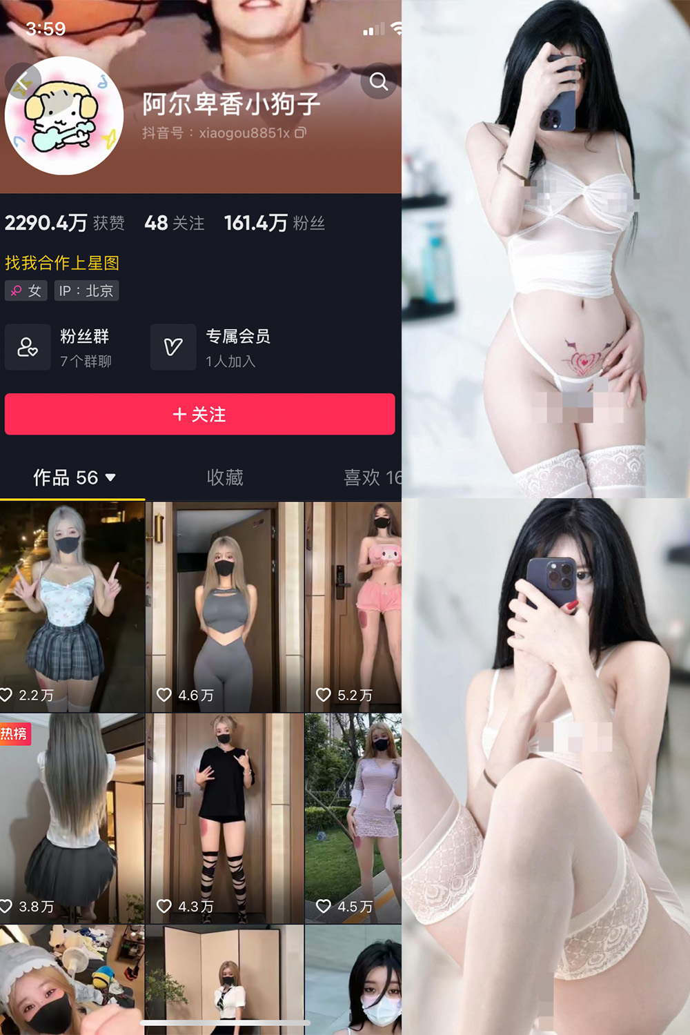 抖音 阿尔卑香小狗子 微密圈  NO.043期 【18P1V】最新至：2024.1.26-杏子