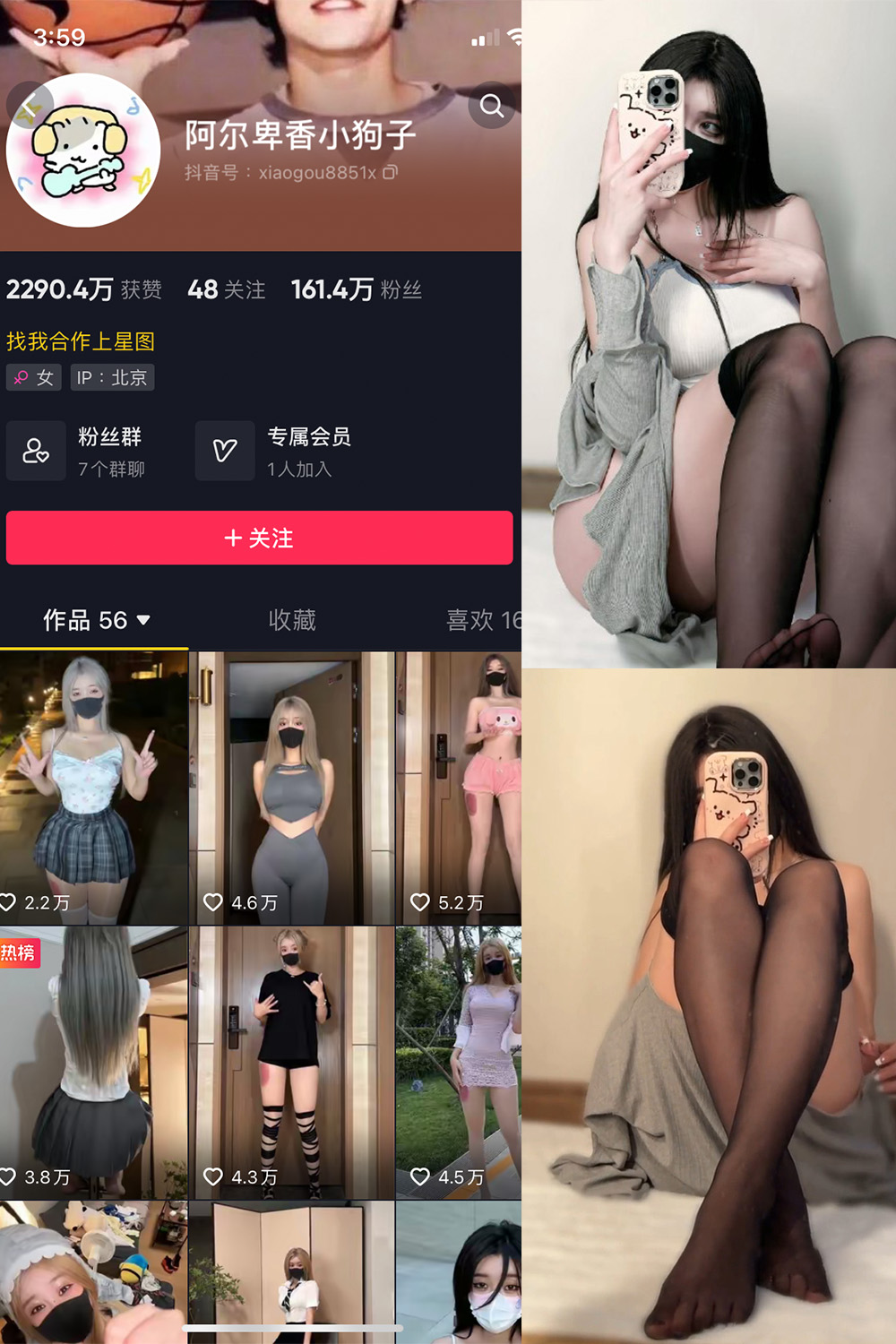 抖音 阿尔卑香小狗子 微密圈  NO.042期 【6P1V】最新至：2024.1.24-杏子