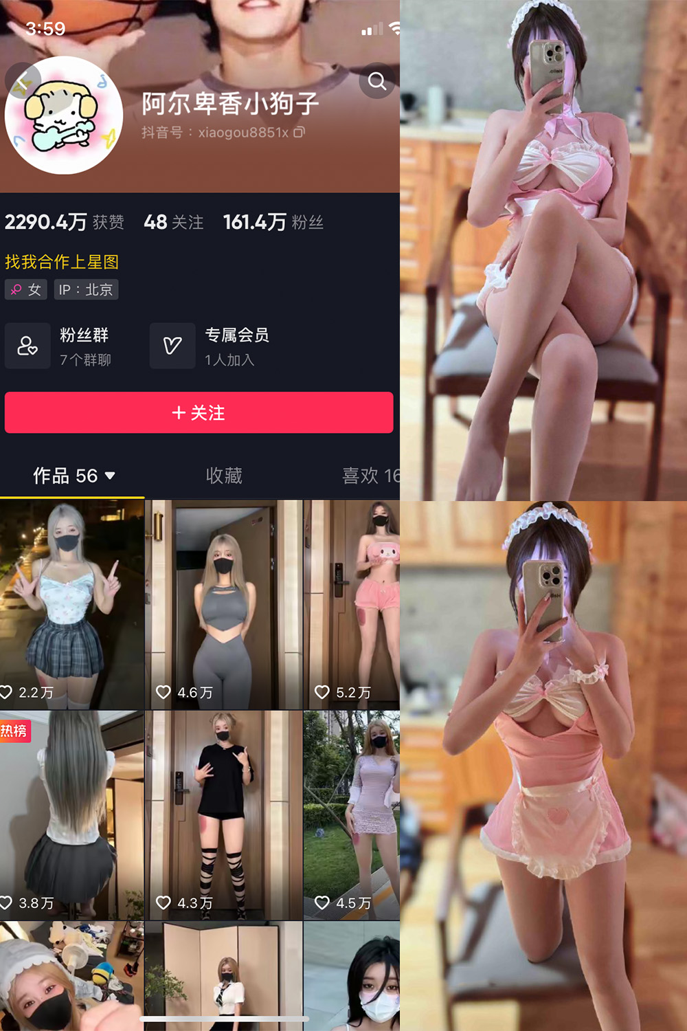 抖音 阿尔卑香小狗子 微密圈  NO.039期 【10P】-杏子