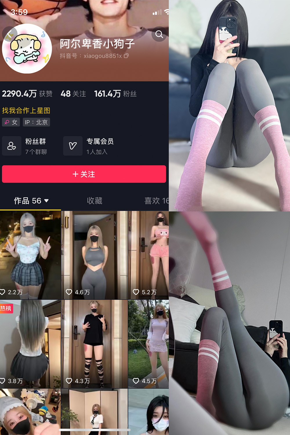 抖音 阿尔卑香小狗子 微密圈  NO.038期 【10P】最新至：2023.11.23-杏子
