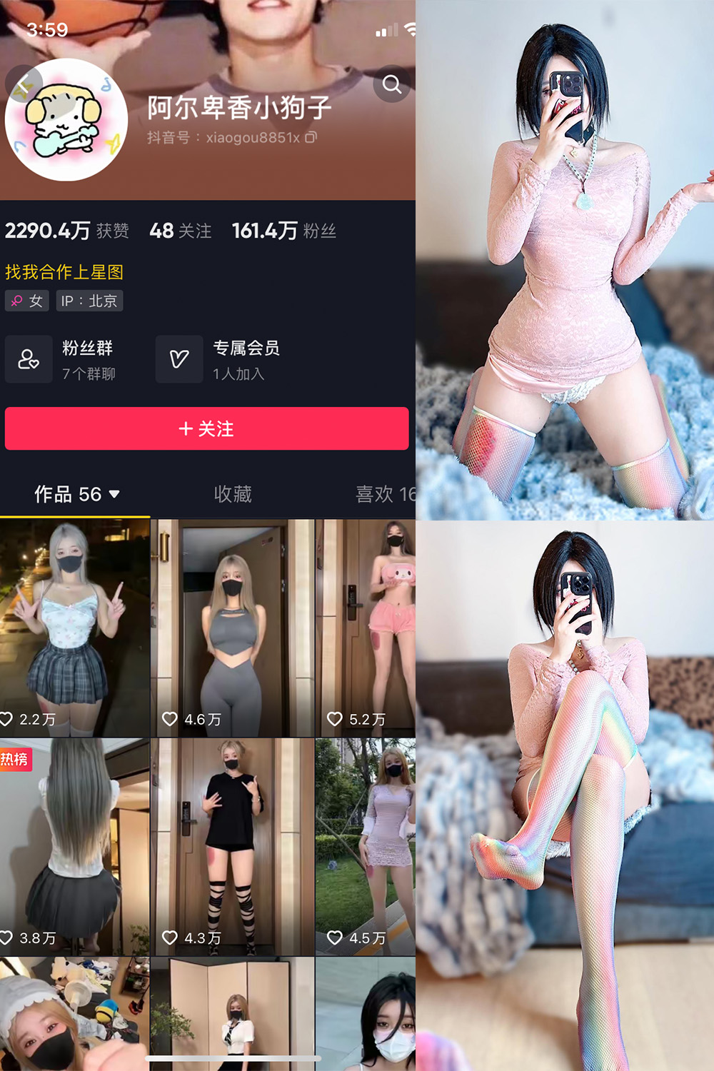 抖音 阿尔卑香小狗子 微密圈  NO.035期 【16P】最新至：2023.10.23-杏子