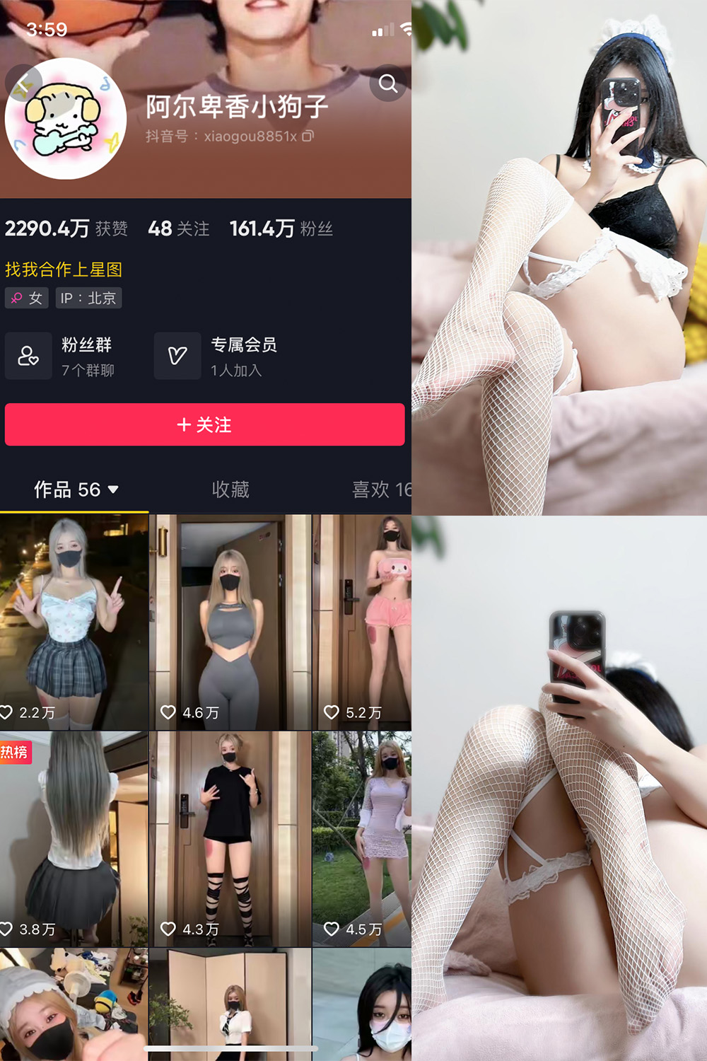 抖音 阿尔卑香小狗子 微密圈  NO.033期 【19P】最新至：2023.10.16-杏子
