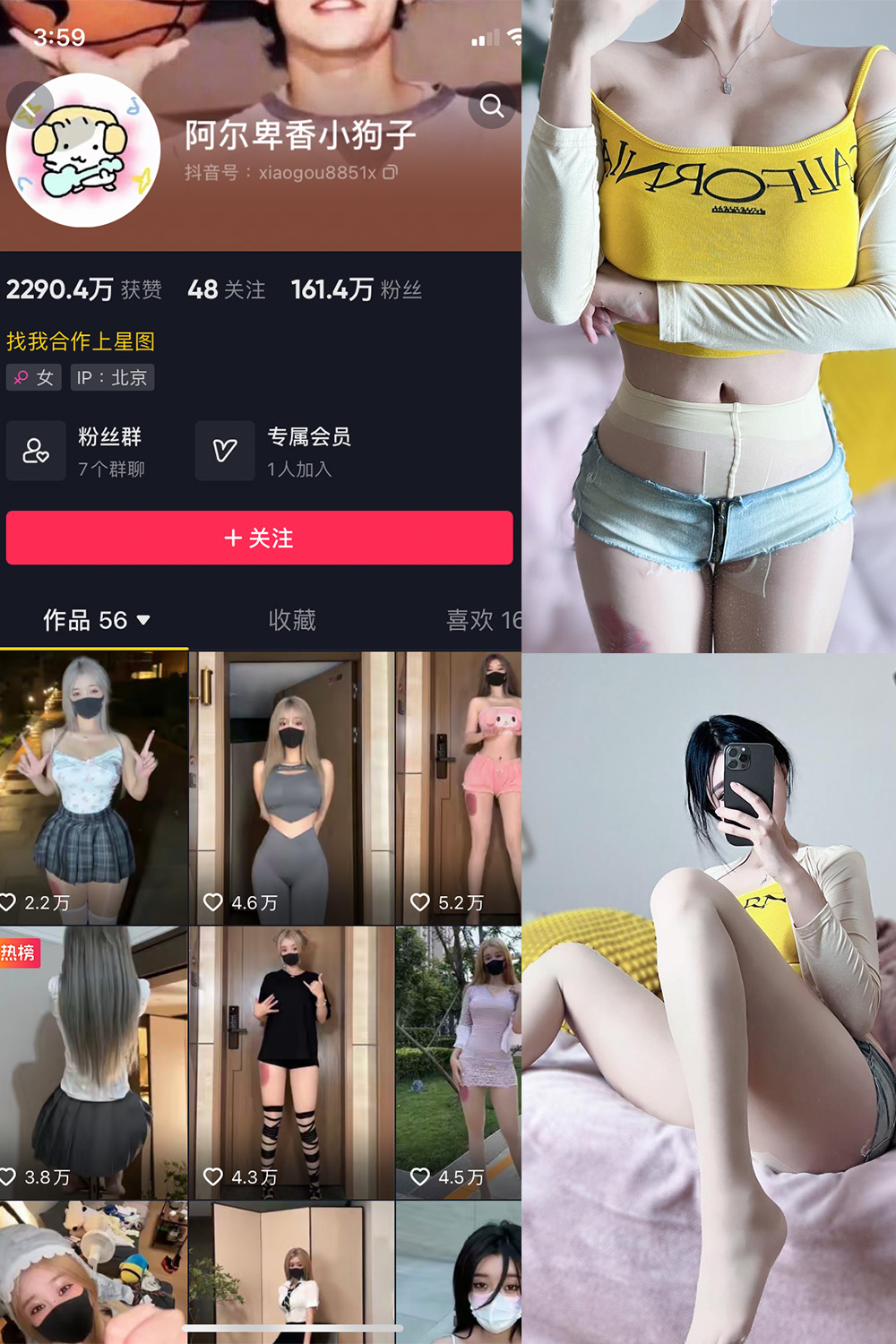 抖音 阿尔卑香小狗子 微密圈  NO.032期 【22P】-杏子