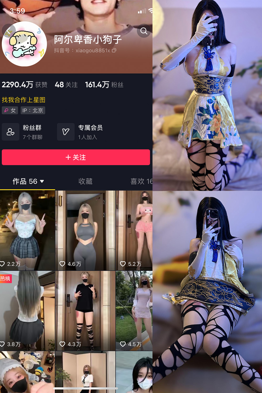 抖音 阿尔卑香小狗子 微密圈  NO.030期 【13P1V】-杏子