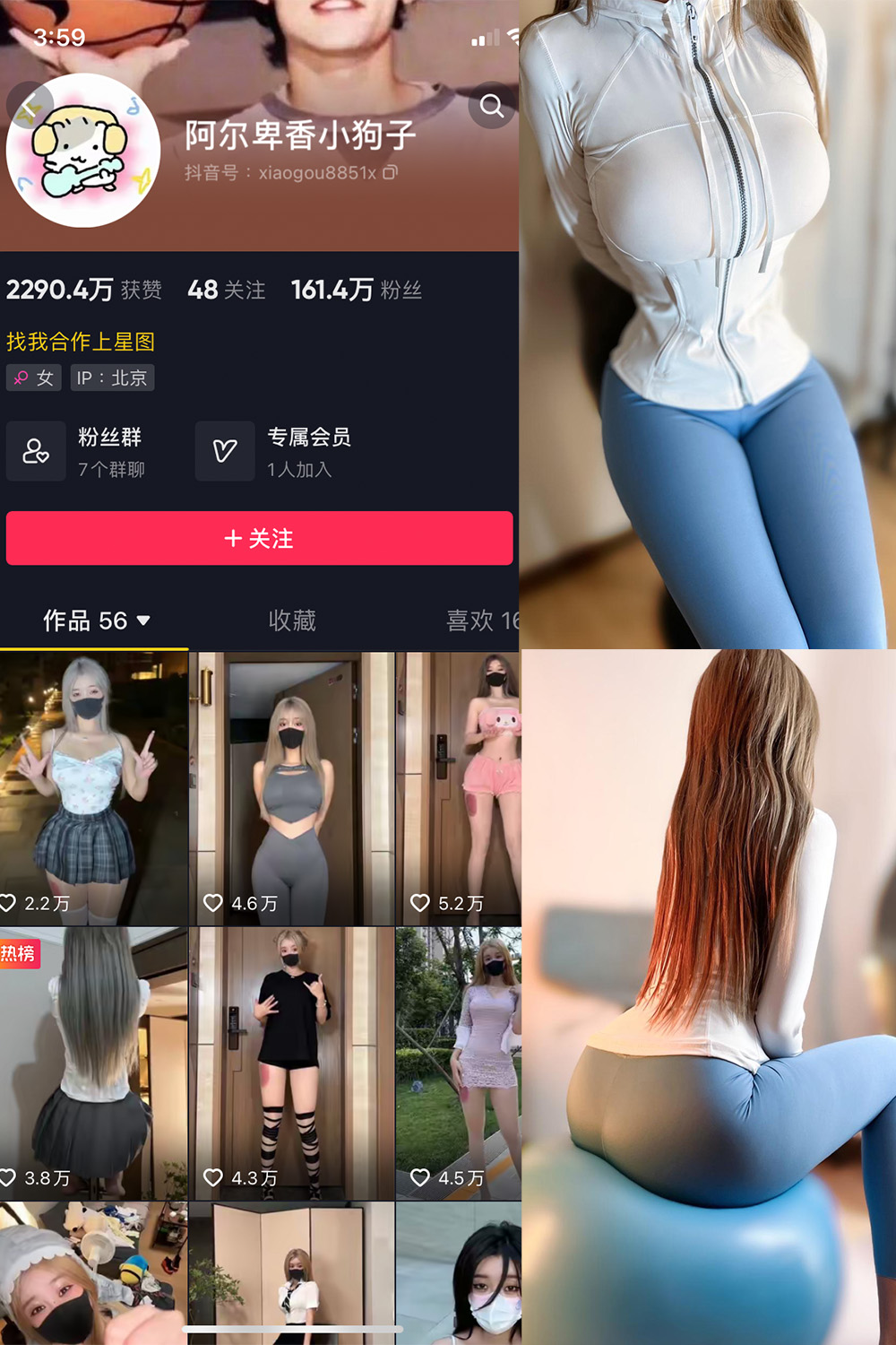 抖音 阿尔卑香小狗子 微密圈  NO.029期 【30P】最新至：2023.10.2-杏子