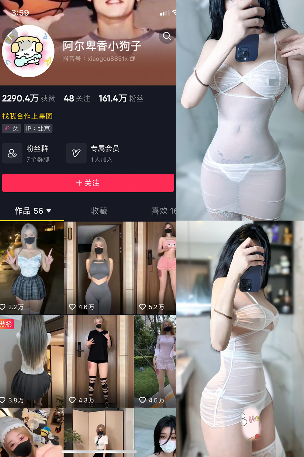 抖音 阿尔卑香小狗子 微密圈  NO.028期 【33P】最新至：2023.10.1-杏子