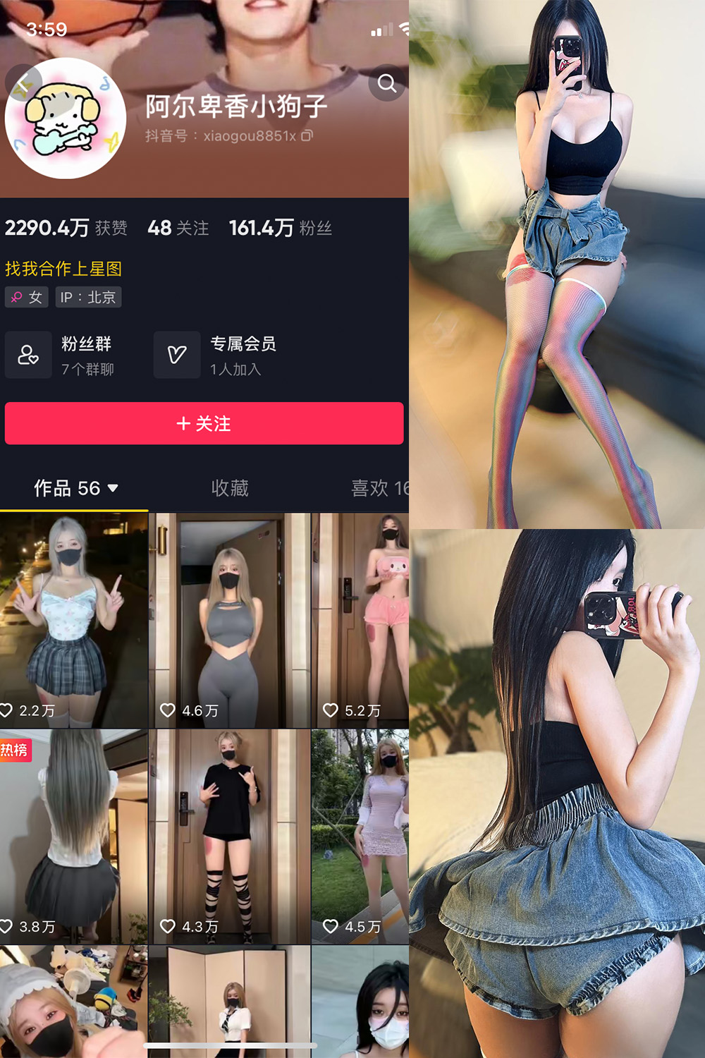 抖音 阿尔卑香小狗子 微密圈  NO.027期 【7P】最新至：2023.9.29-杏子