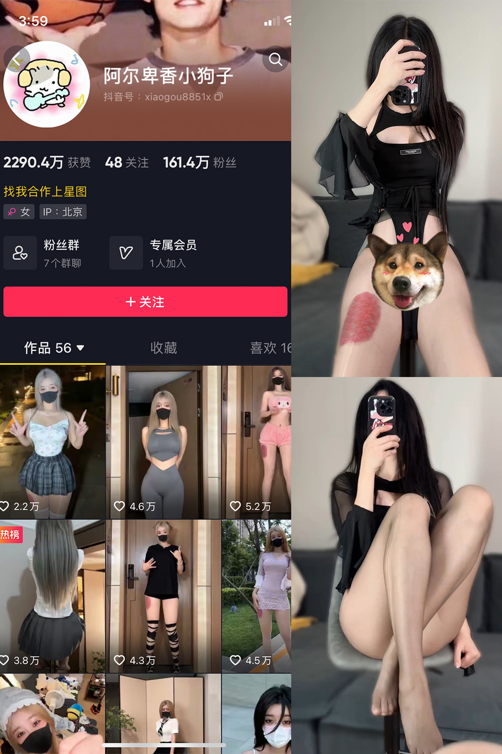 抖音 阿尔卑香小狗子 微密圈  NO.026期 【8P1V】最新至：2023.9.27-杏子