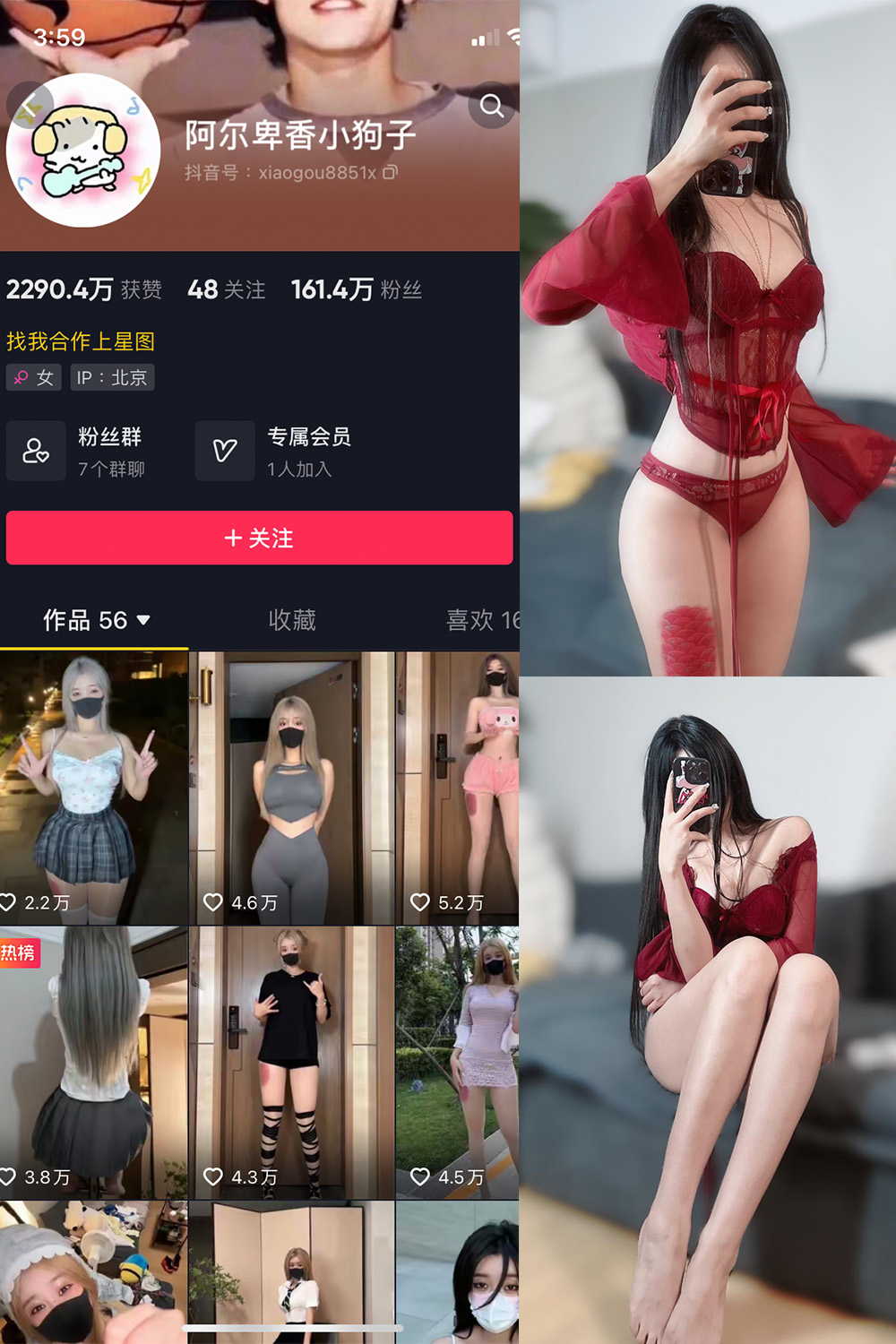 抖音 阿尔卑香小狗子 微密圈  NO.025期 【10P2V】最新至：2023.9.20-杏子