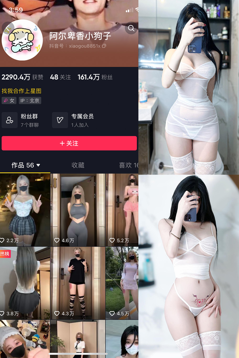 抖音 阿尔卑香小狗子 微密圈  NO.022期 【9P】最新至：2023.9.7-杏子